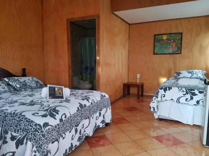 1 Bedroom Standard Triple room with ocean view
