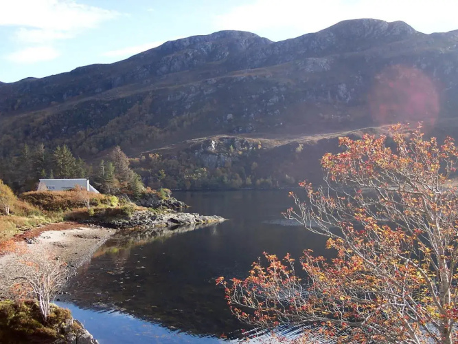 Island Bay View