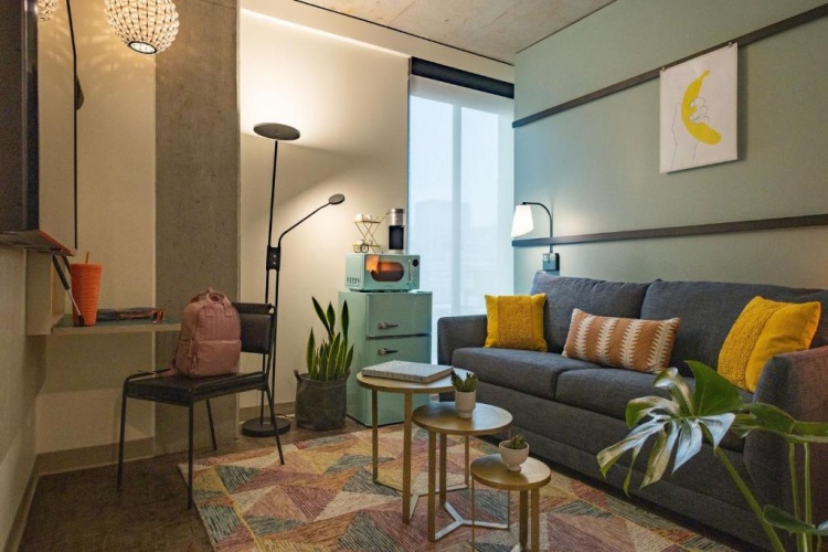 1 Bedroom Suite