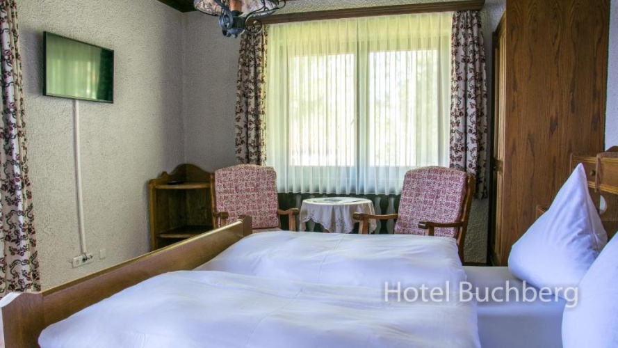 Standard Double room with mountain view