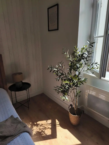 Les Chambres de Nelly