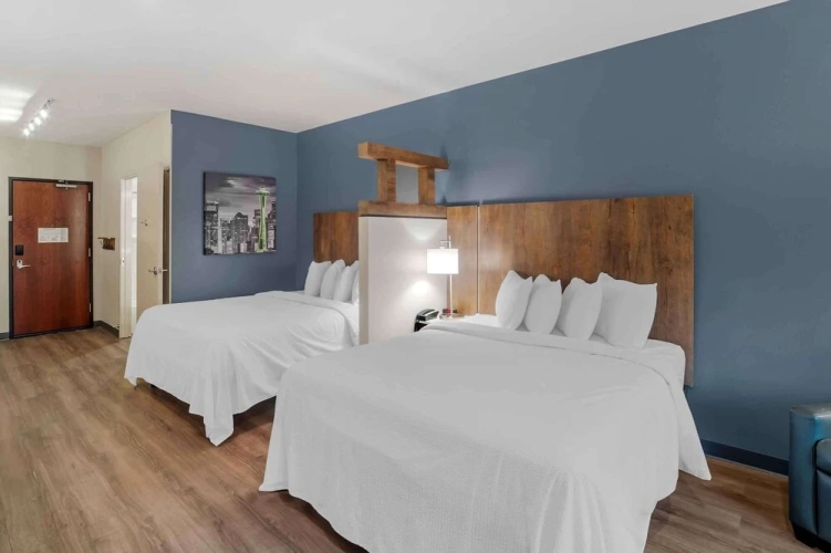 Premium Quadruple Studio