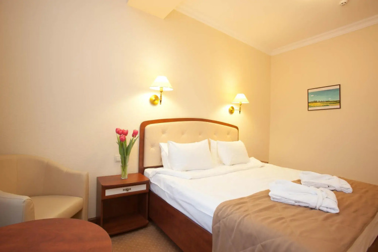 Фотография номера гостиницы Regency