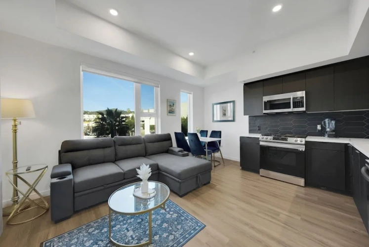 1 Bedroom Classic Apartment