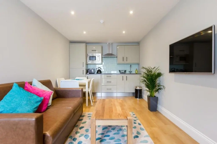 1 Bedroom Apartment
