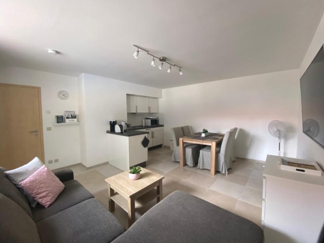 Basement Apartment