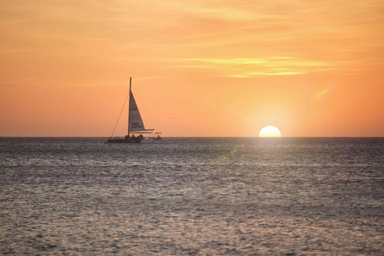 Barcelo Aruba photo 29