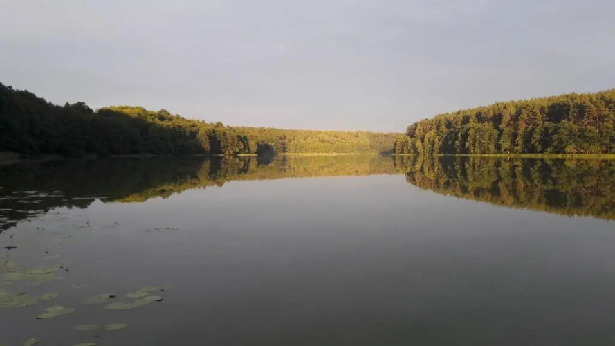 Siedlisko13