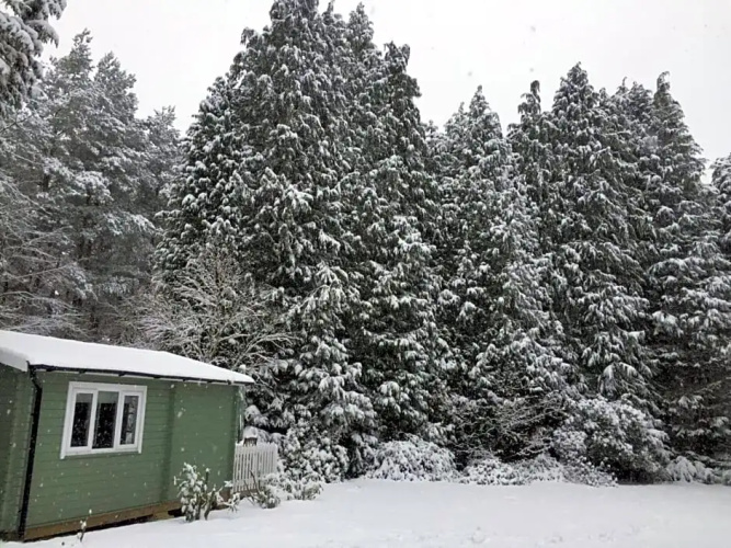 Woodland Cabin