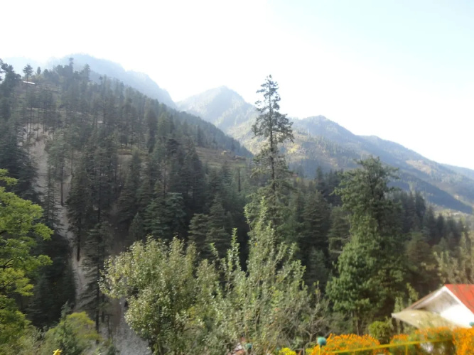 Natures Lap Resort Jibhi