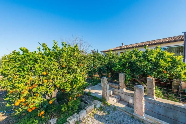 2 Bedrooms Double Cottage