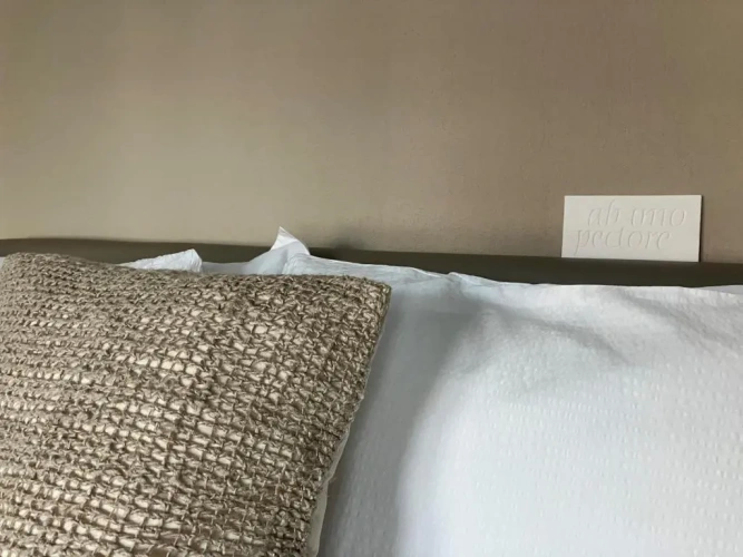 Standard Double room with river view