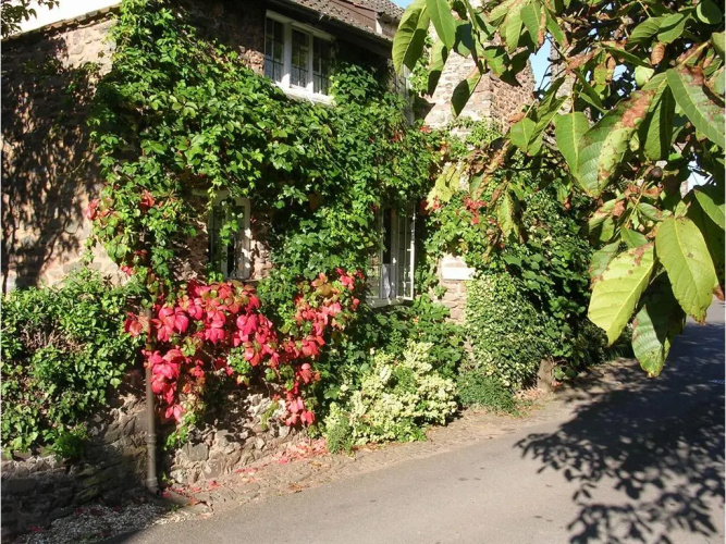 Tudor Cottage