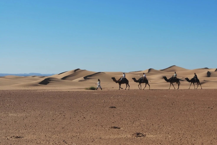 Le Chant Du Sable