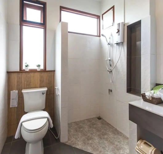 Deluxe Twin room with balcony and with garden view