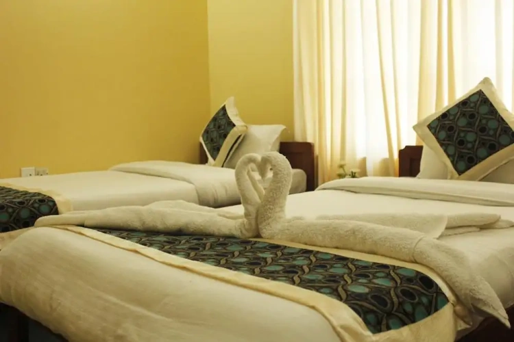 Standard Twin room with balcony and with mountain view