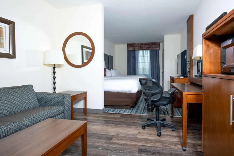 1 Bedroom Suite