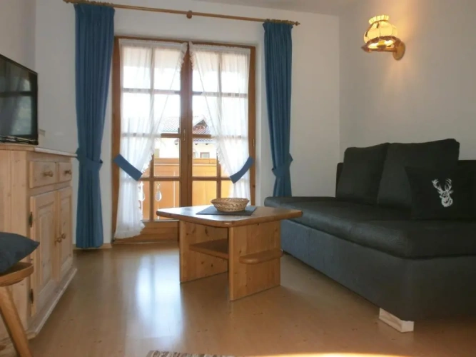 Standard Apartment with balcony and with view