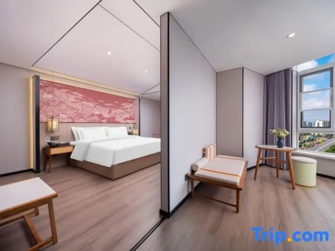 1 Bedroom Suite with city view
