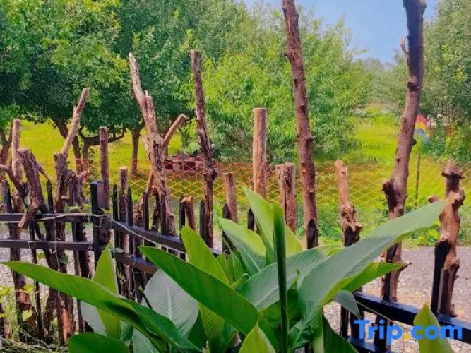 shanzixian guanshanju