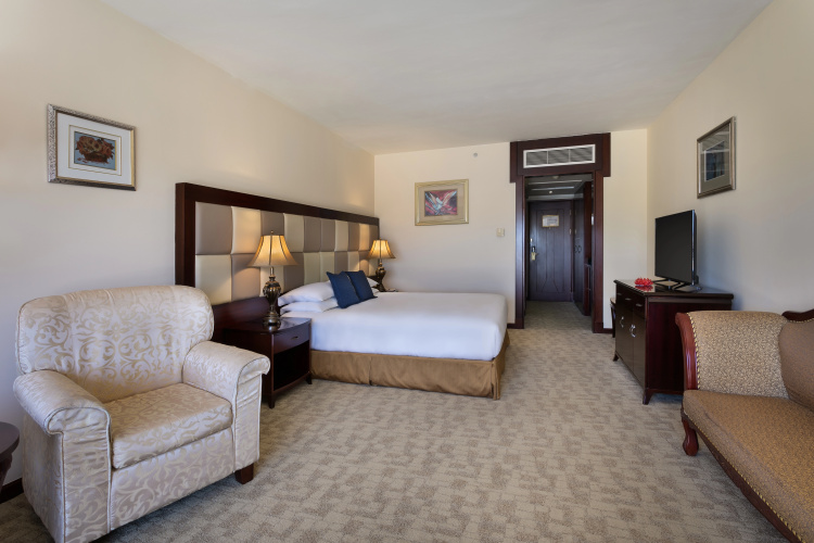 Grand Hotel Excelsior photo 8