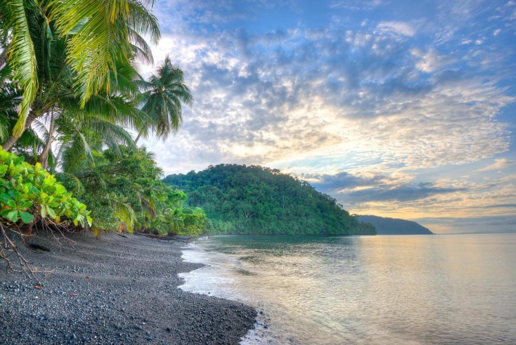 Playa Nicuesa Rainforest Lodge photo 7