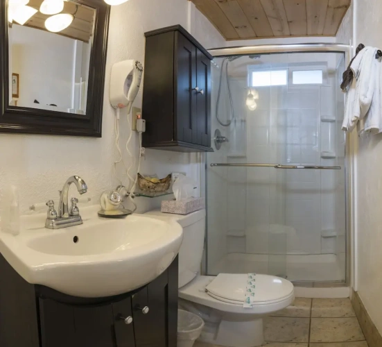 1 Bedroom Standard Suite