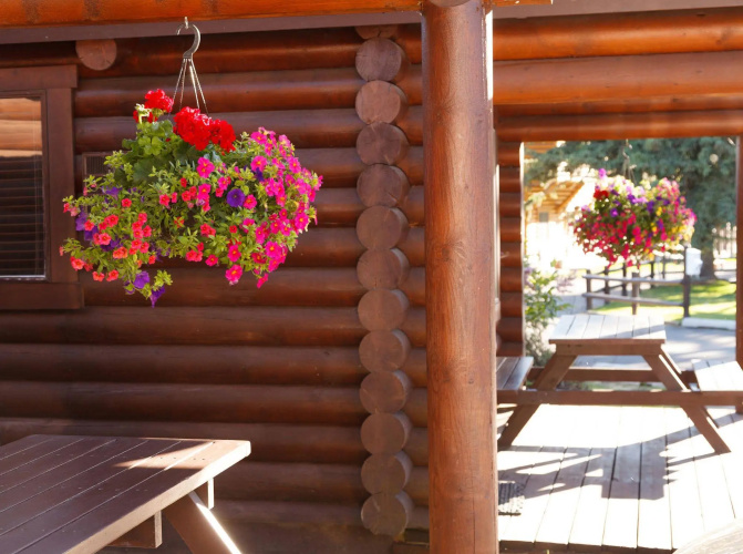 Elk Country Inn photo 24