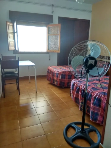 Economy Twin room