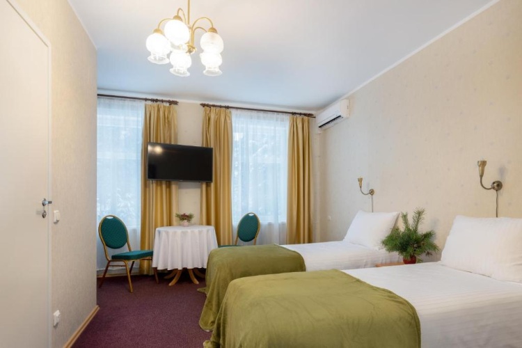 Standard Double room with garden view