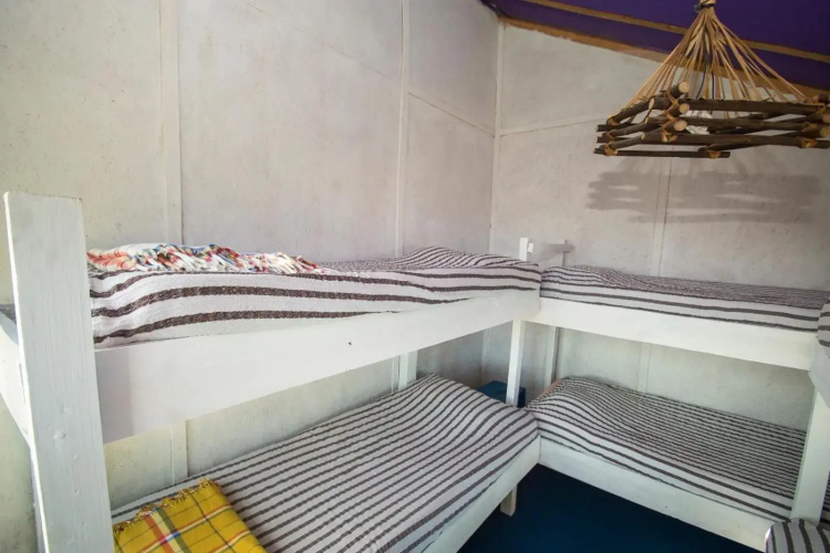 Hostel Albatros