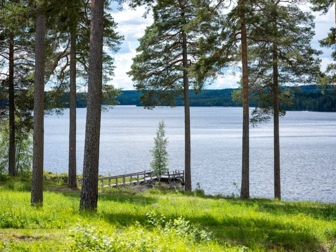 Apartment with balcony and with lake view