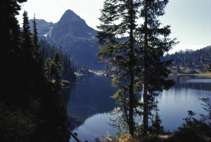 Sol Duc Hot Springs Resort - Olympic National Park, WA