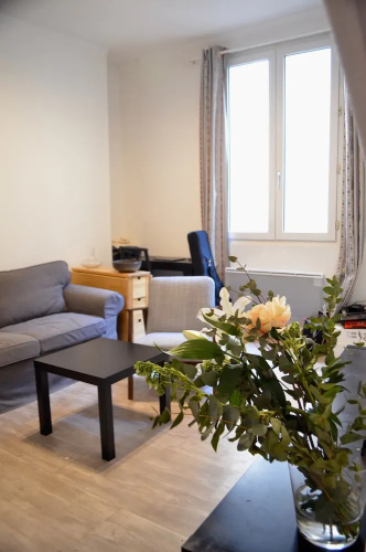 Central Strasbourg Saint Denis Flat