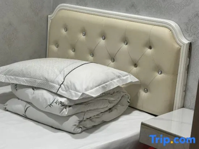 Shanshi Hotel