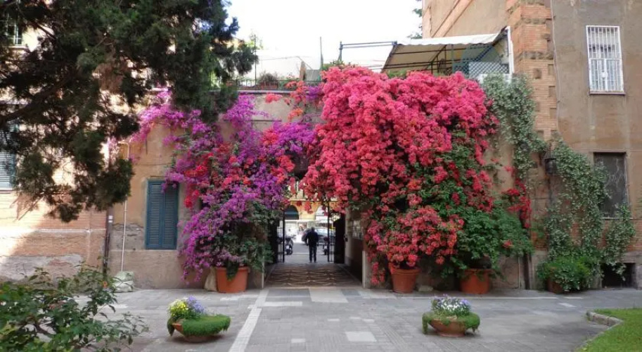 Il Cortile di Carlo