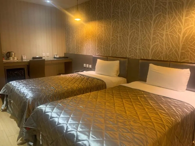 Economy Twin room