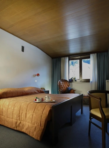 1 Bedroom Classic Double room with balcony and with mountain view