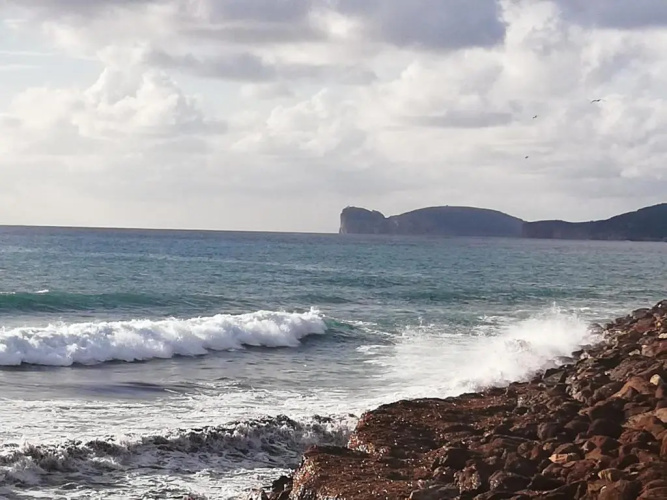 Alghero, Gabbianella