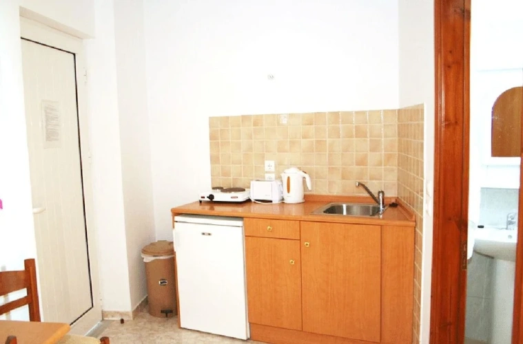 Studio with balcony and with garden view