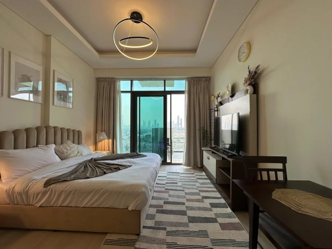 Luxury Apartment