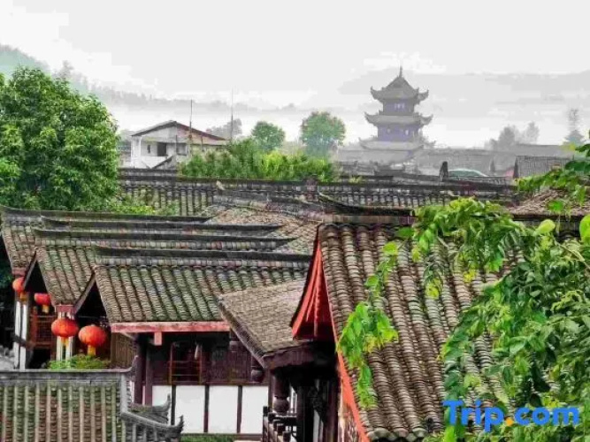 Jielu Dongli
