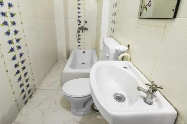 Hotel Krishnam Palace