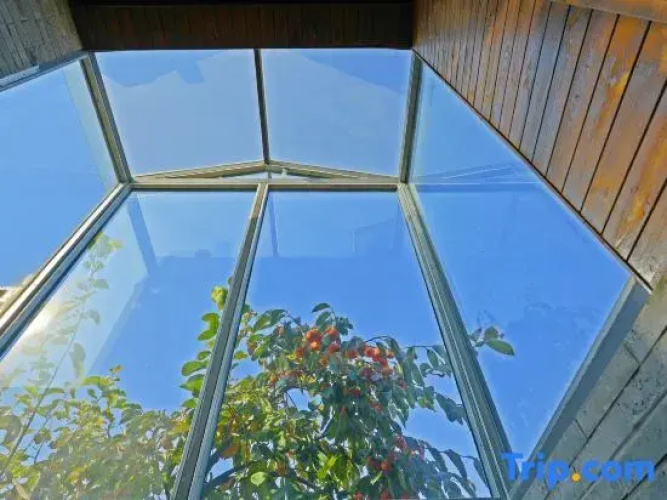 Maying Bookstore Homestay