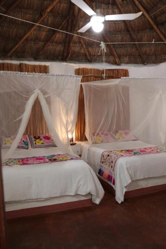 Twin Suite