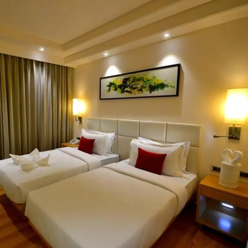 Standard Twin Club room