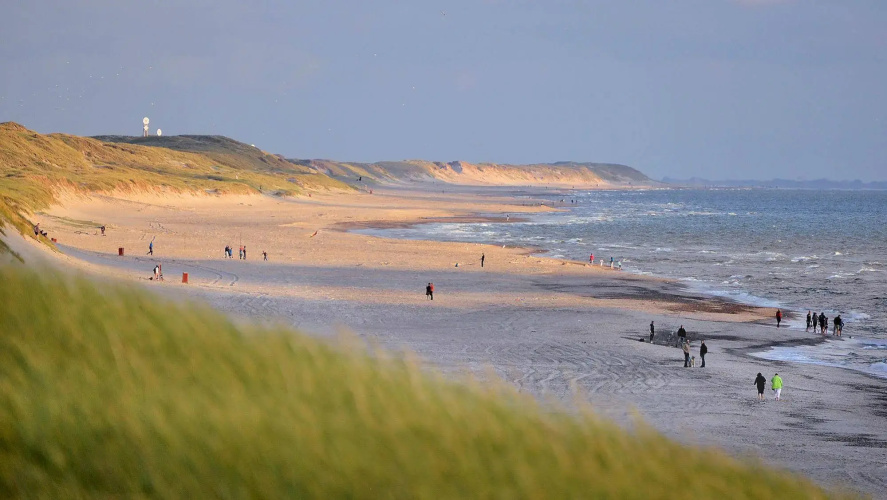 Dancamps Holmsland