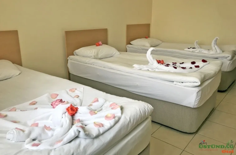 Economy Triple room