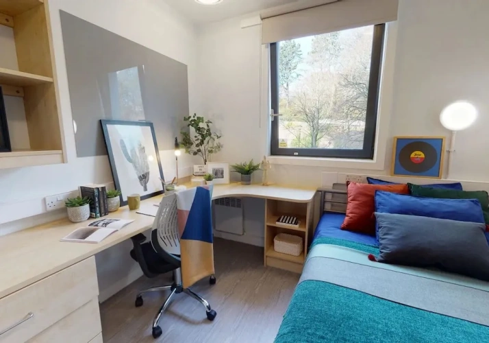 Comfort Single room
