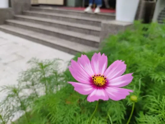 Outside